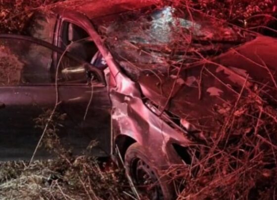 Médico morre em batida de carro com vaca na Bahia