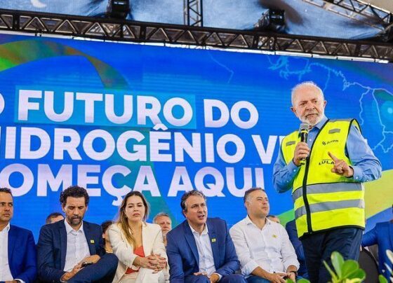 CNN Brasil