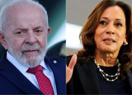 CNN Brasil