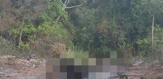 Corpo é encontrado carbonizado em Barra do Pojuca