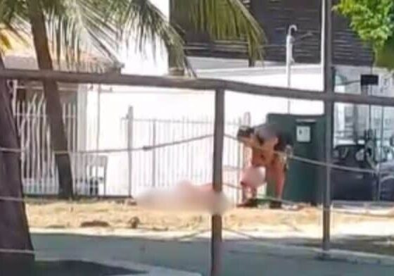BRUTAL: Homem mata pai e arranca cabeça em praça pública
