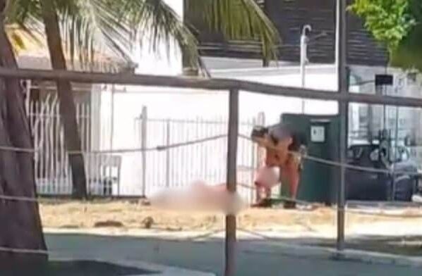 BRUTAL: Homem mata pai e arranca cabeça em praça pública