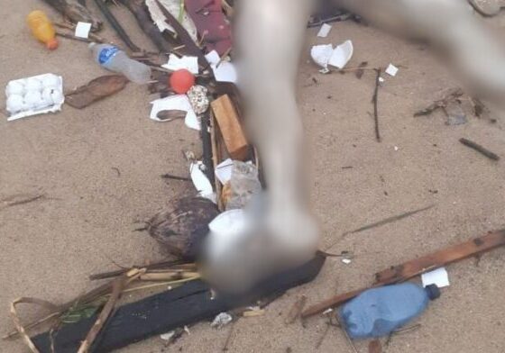 Corpo em decomposição é encontrado por pescador em praia de Salvador