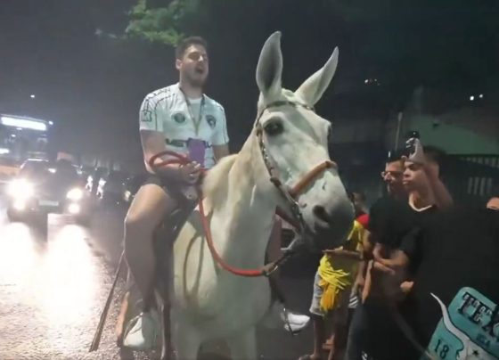 CNN Brasil