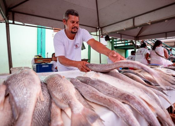 feira do peixe camaçari