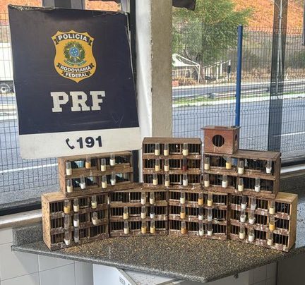 Foto: Divulgação / PRF
