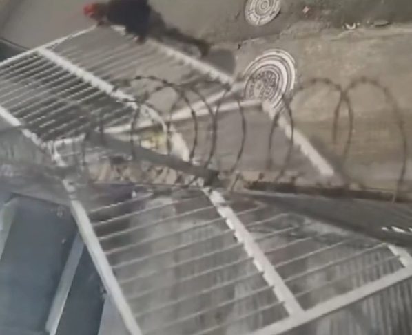 criminosos furtam portão na Graça