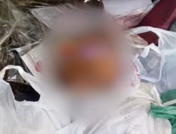 Foto: Reprodução/Alô Juca