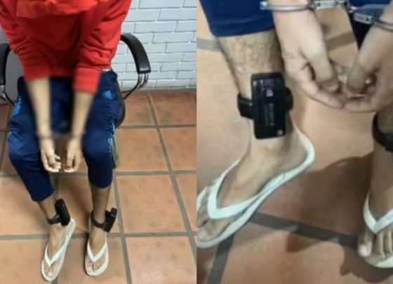Foto: Polícia Civil / Divulgação