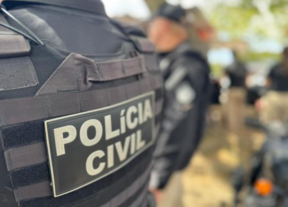 Foto: Divulgação/Polícia Civil