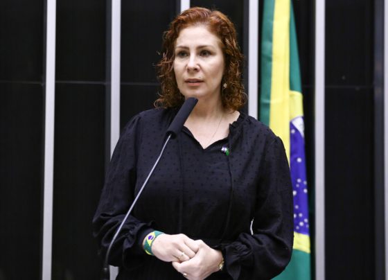 Foto: Vinicius Loures/Câmara dos Deputados