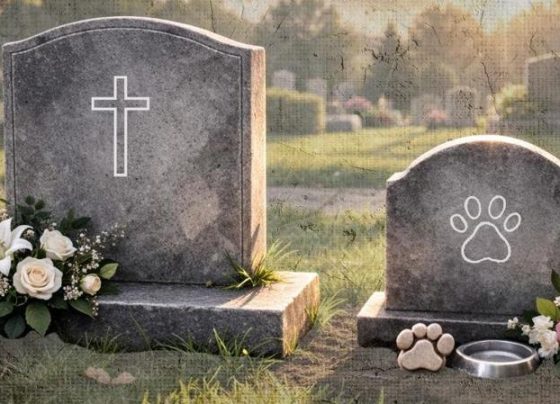 Deputado propõe sepultamento de cães e gatos junto a donos na Bahia