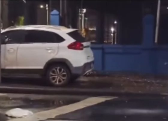 Vídeo / Reprodução