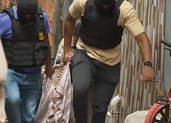 mortos em pau da lima
