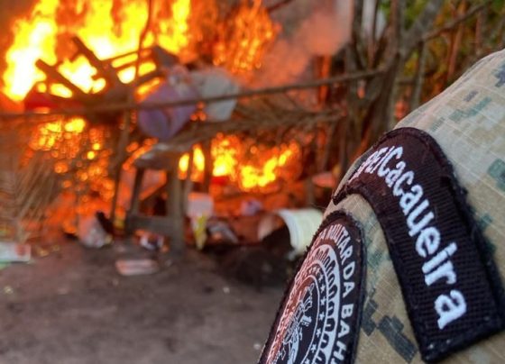 quatro homens mortos em maraú