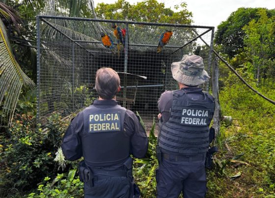 Foto: Divulgação / PF