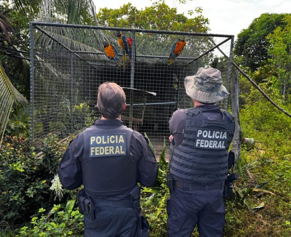 Foto: Divulgação / PF