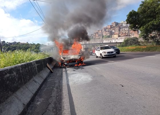 Foto: Paulinho FP/Salvador FM