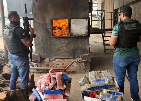 Foto: Divulgação / PC-BA