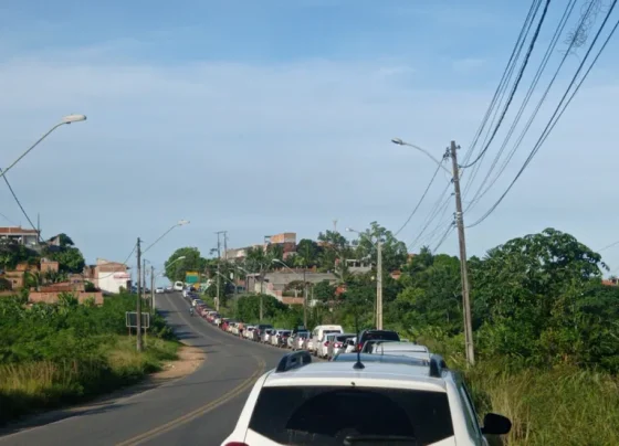 Foto: Reprodução / Paula Cordeiro / Redes sociais