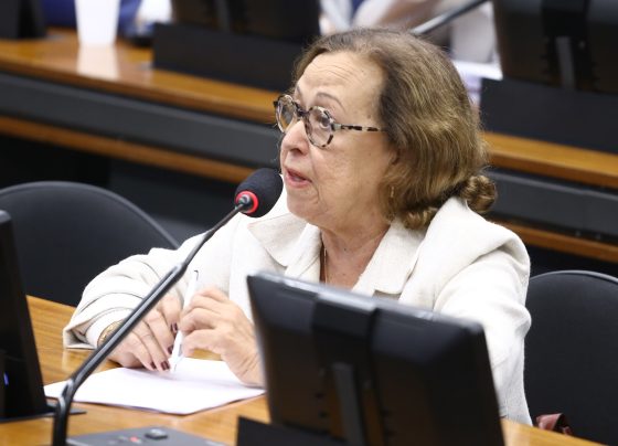 Deputada Lídice da Mata. Foto: Vinicius Loures/Câmara dos Deputados
