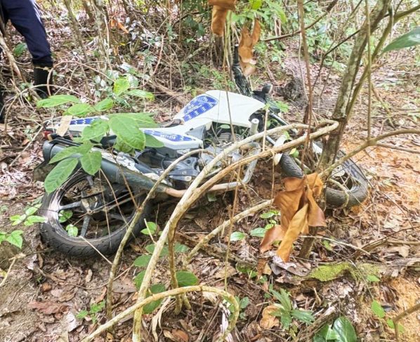 Foto: Cippa/Porto Seguro