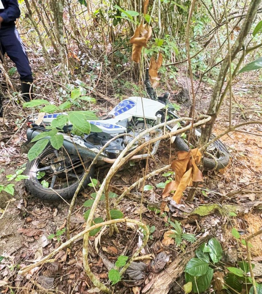 Foto: Cippa/Porto Seguro