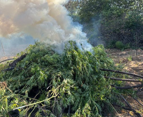 Foto: DIvulgação / PM-BA