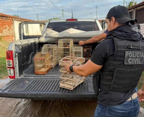 Foto: Divulgação / ASCOM PC-BA