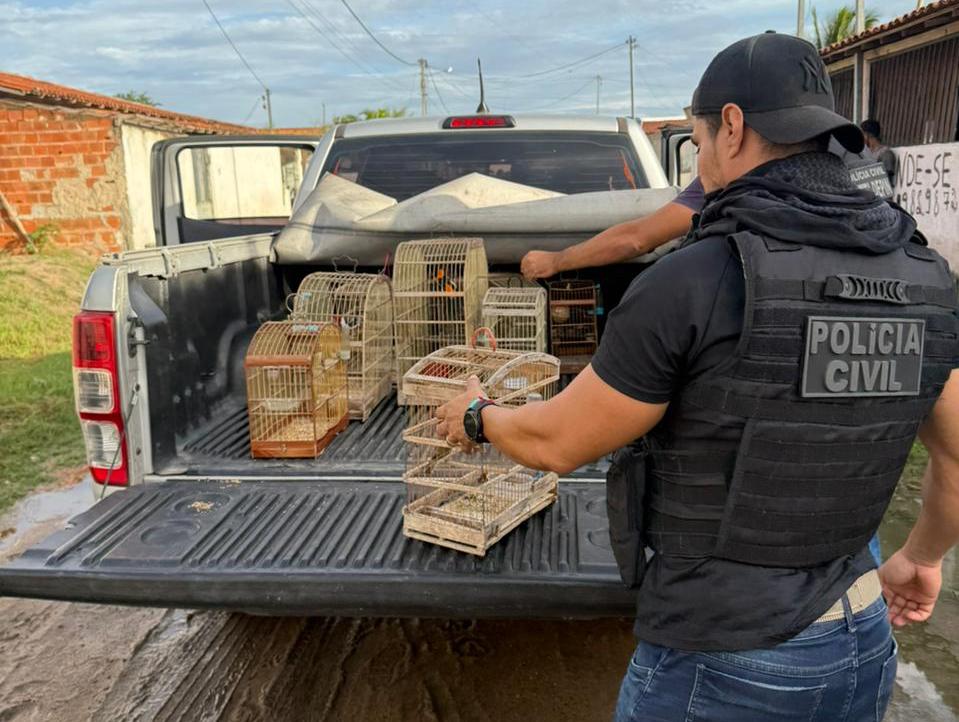 Foto: Divulgação / ASCOM PC-BA