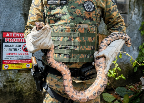 Foto: Divulgação / Coppa