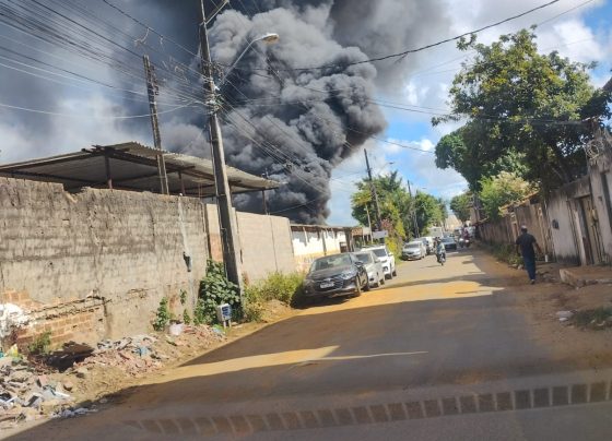 Foto: Reprodução / Redes sociais