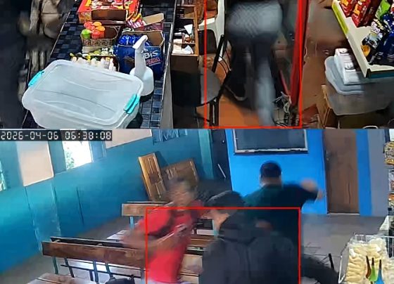 Imagem: Reprodução
