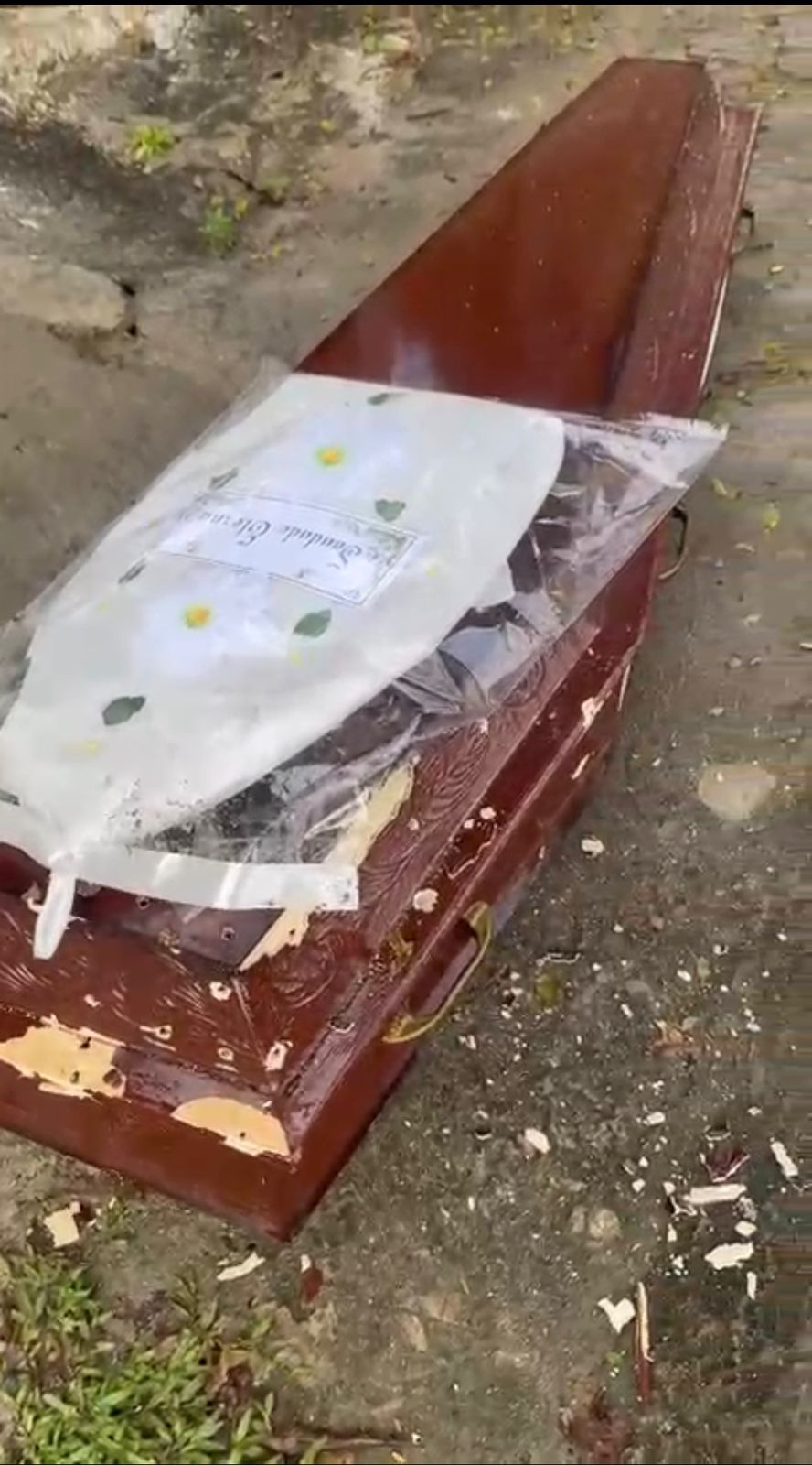Foto: Reprodução / vídeo