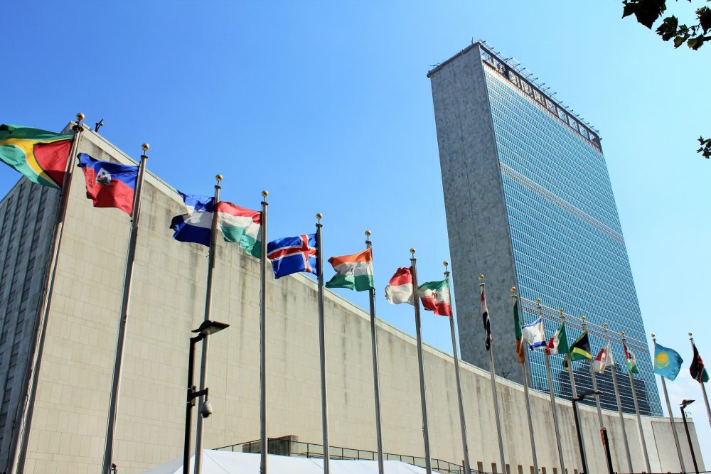 Foto: Arnaldo Jr / Shutterstock.com