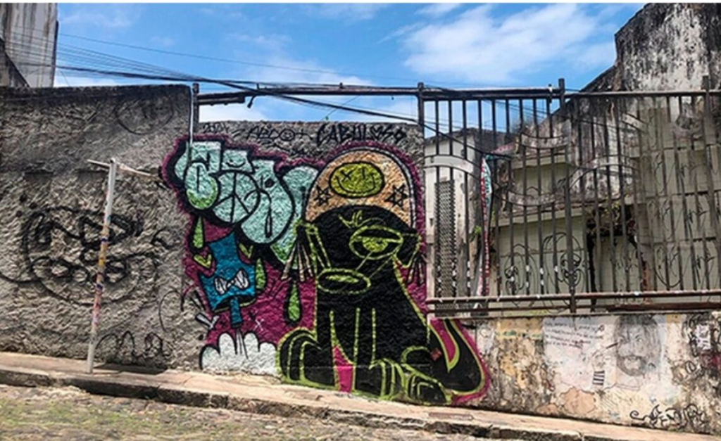 Foto: Divulgação / Ipac