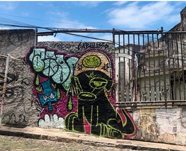 Foto: Divulgação / Ipac