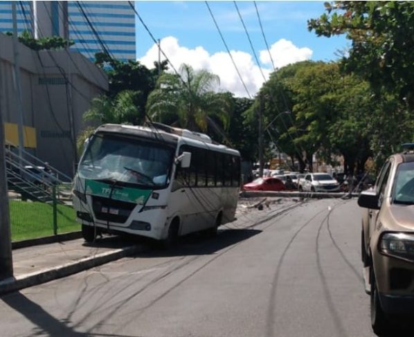 Foto: Reprodução / Transalvador