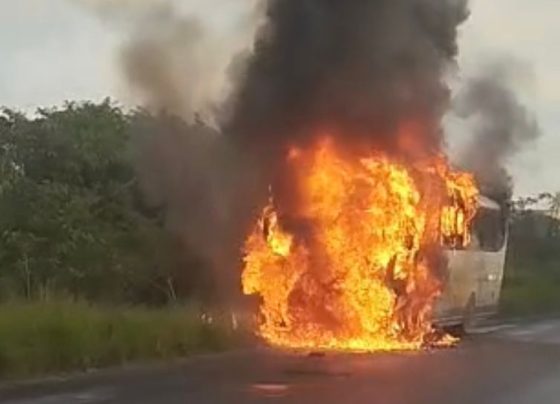 Foto: Reprodução/Redes Sociais