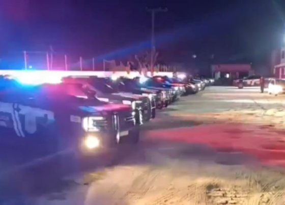 Foto: Polícia Civil