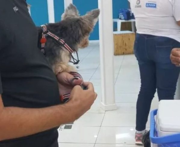 Foto: Divulgação/Danielle Dantas
