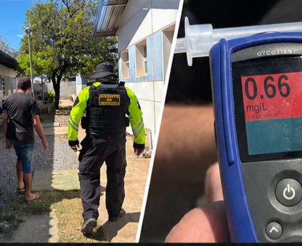 Imagens: Divulgação