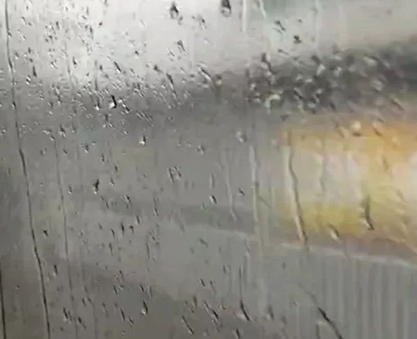 Foto: Portal Salvador FM