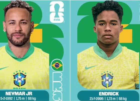 Foto: Reprodução/Panini
