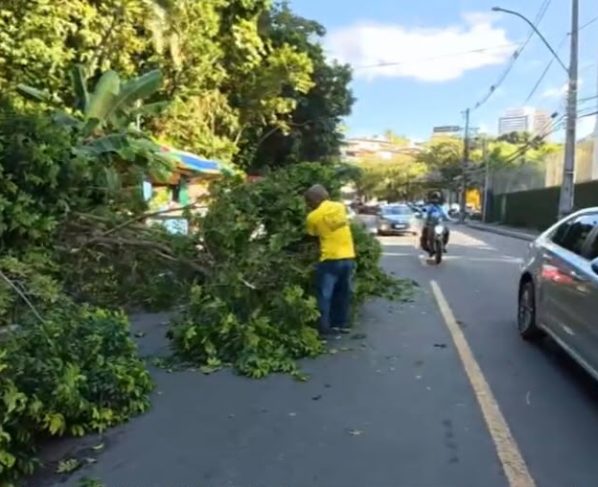 Foto: Reprodução/TV Bahia