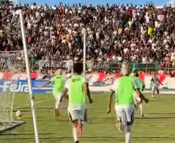 Foto: Touro do Sertão