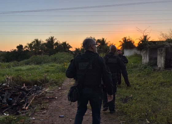 Foto: Divulgação/Polícia Civil