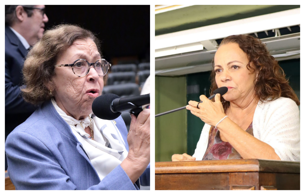 Lídice da Mata (Foto: Thiago Cristino/Câmara dos Deputados) e Aladilce Souza (Foto: Antonio Queirós/CMS)