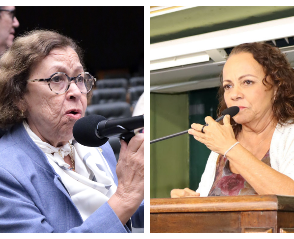 Lídice da Mata (Foto: Thiago Cristino/Câmara dos Deputados) e Aladilce Souza (Foto: Antonio Queirós/CMS)