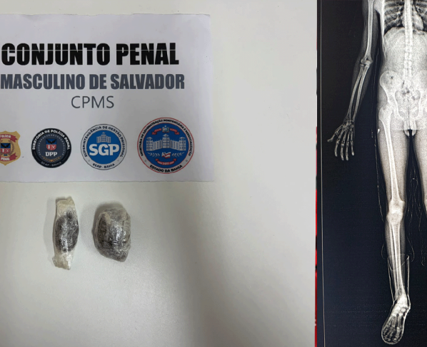 Foto: Seap / Divulgação